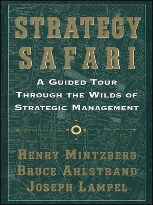 cover image of Strategy Safari